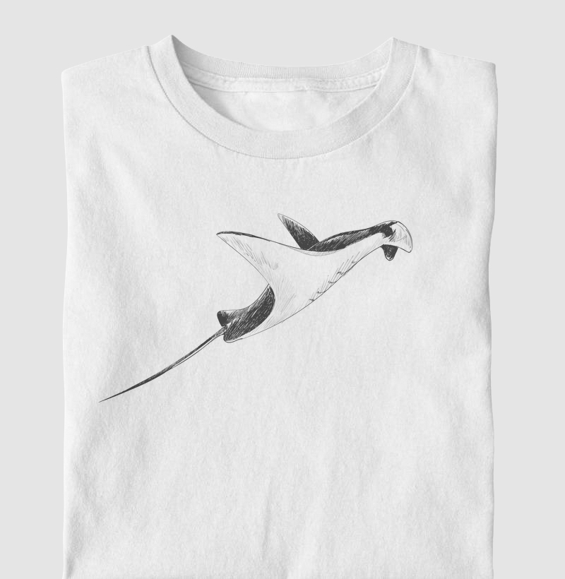 Stingray Sketch