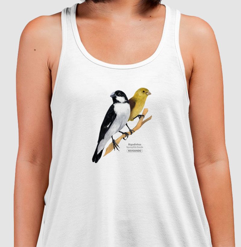 Aves do Brasil - Casal de Bigodinhos - Regata