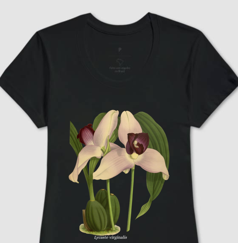 Baby Look Lycaste virginalis