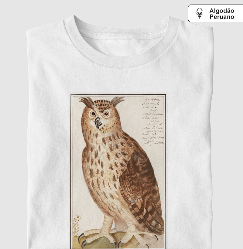 Eagle Owl