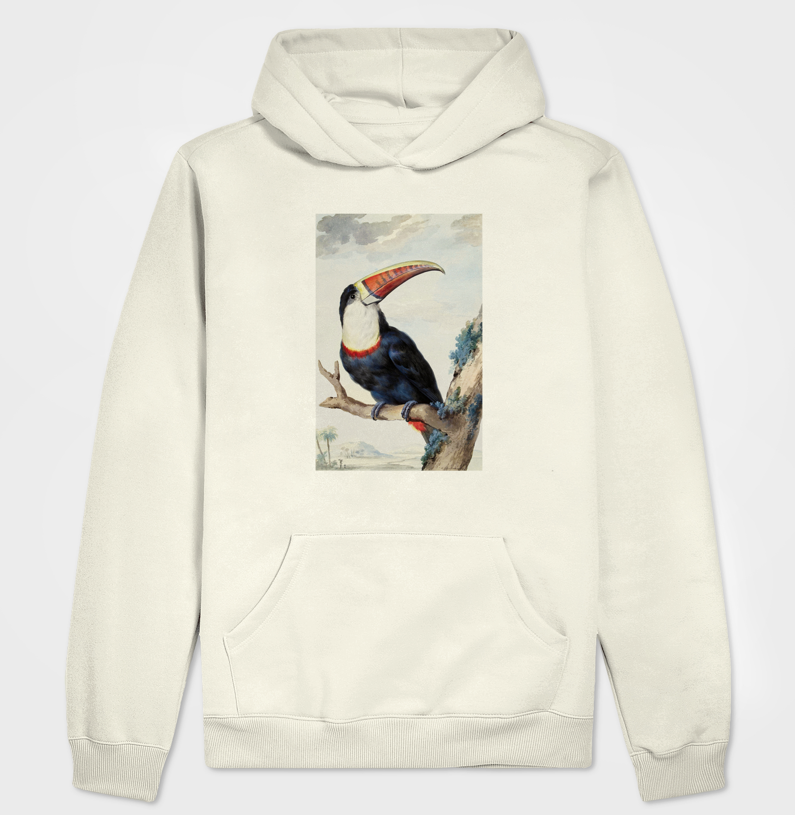 Tucano-de-papo-branco