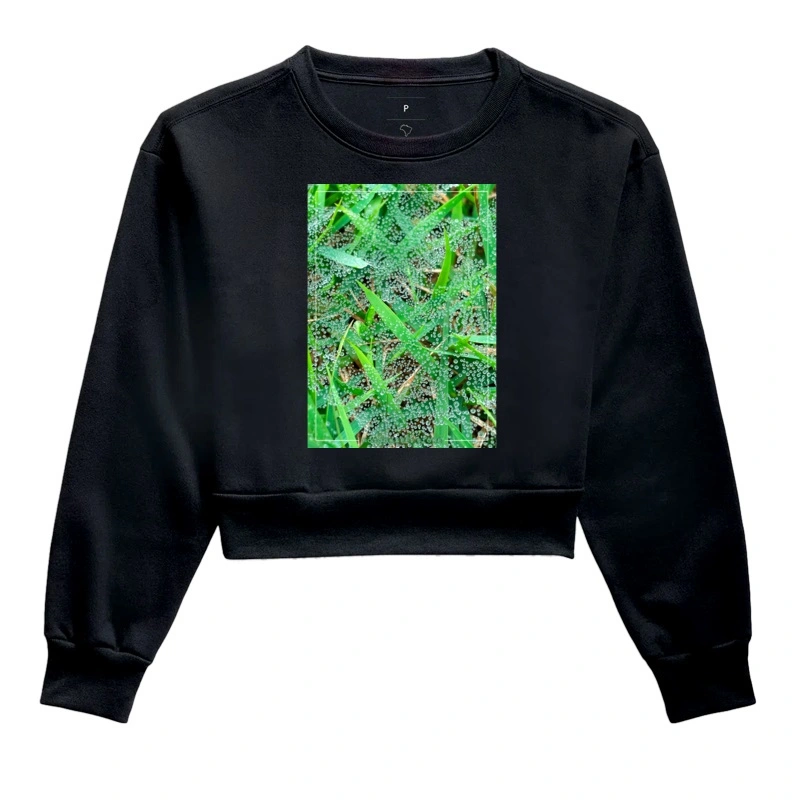 Orvalho - Moletom Cropped