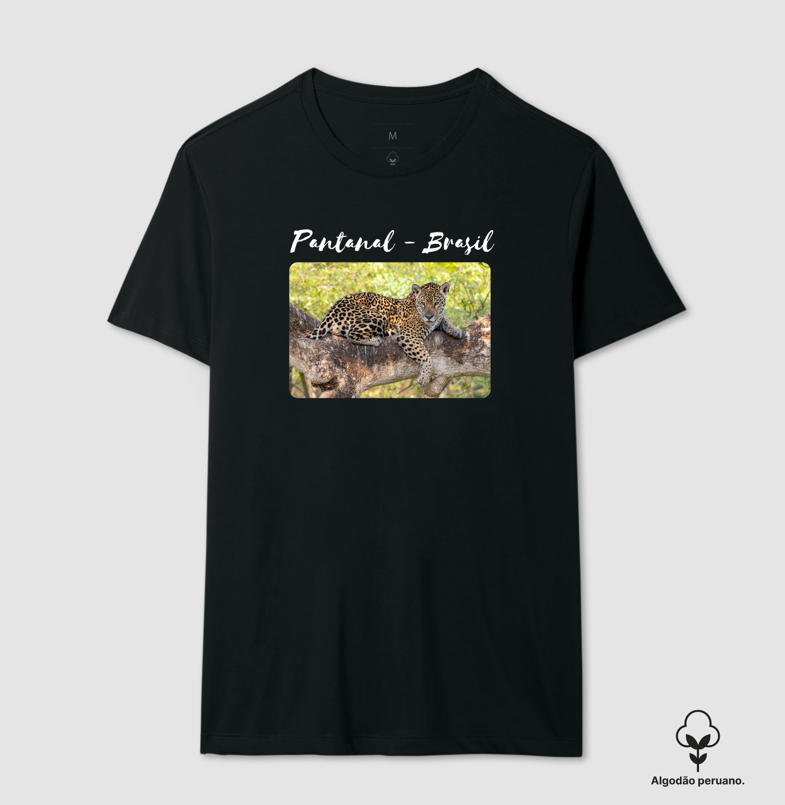 ONÇA-PINTADA