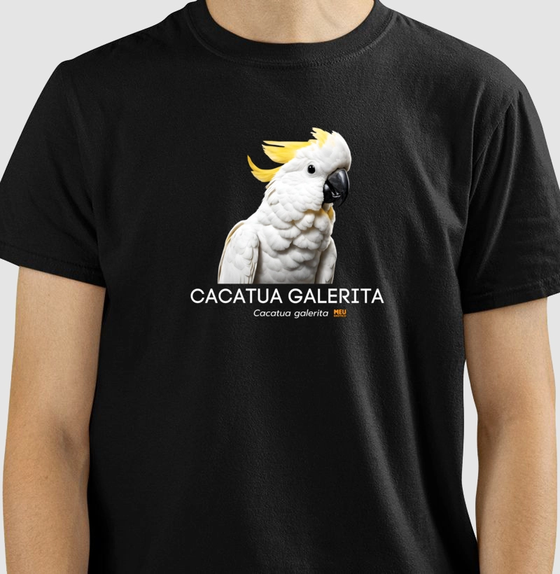 Cacatua galerita II