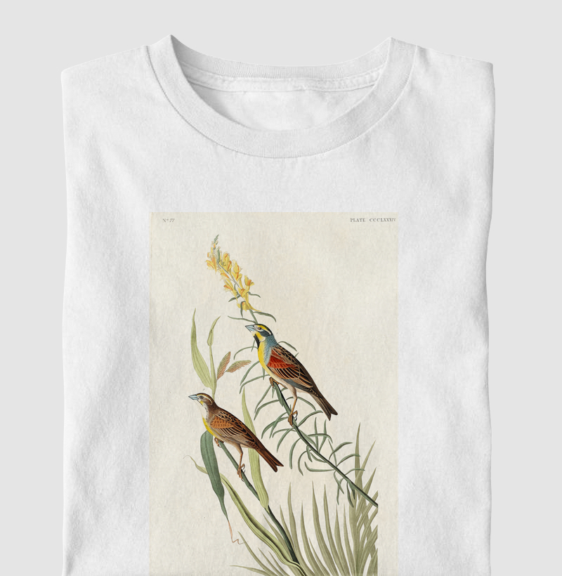 Black-Throated Bunting
