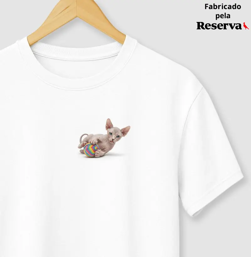 Gato Sphynx Brincando