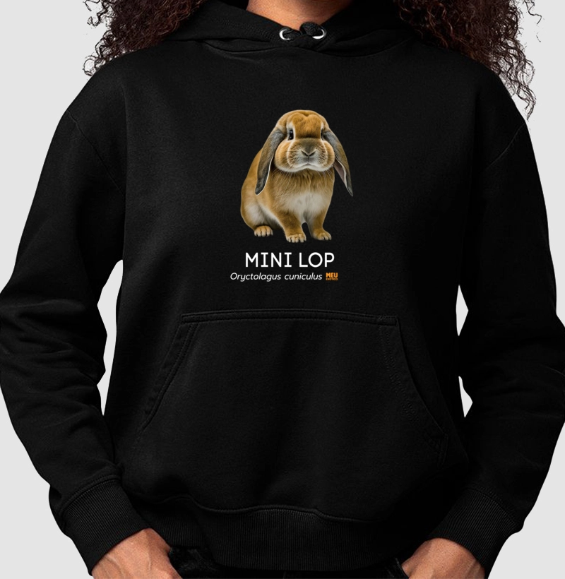 Coelho Minilop