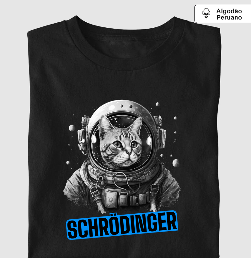 Gato de Schrödinger 1