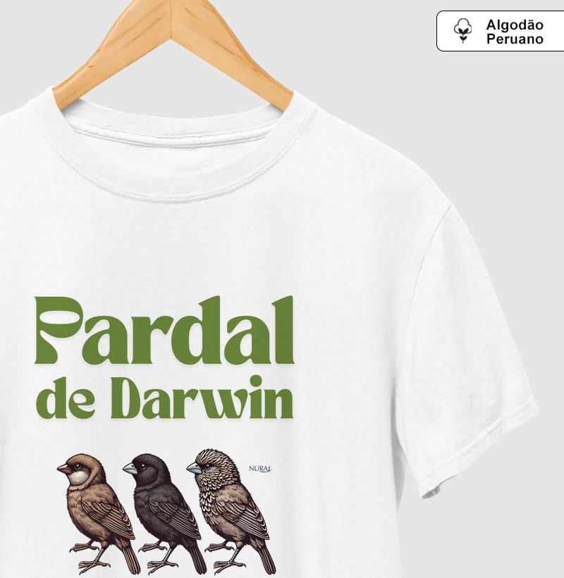 Pardal de Darwin