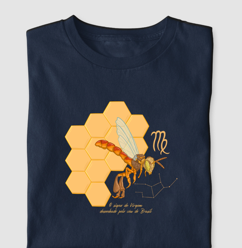 Virgem pelo céu do Brasil