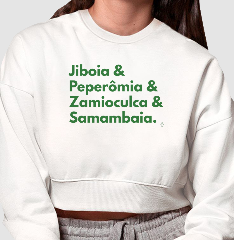 Jiboia, Peperômia, Zamioculca e Samambaia