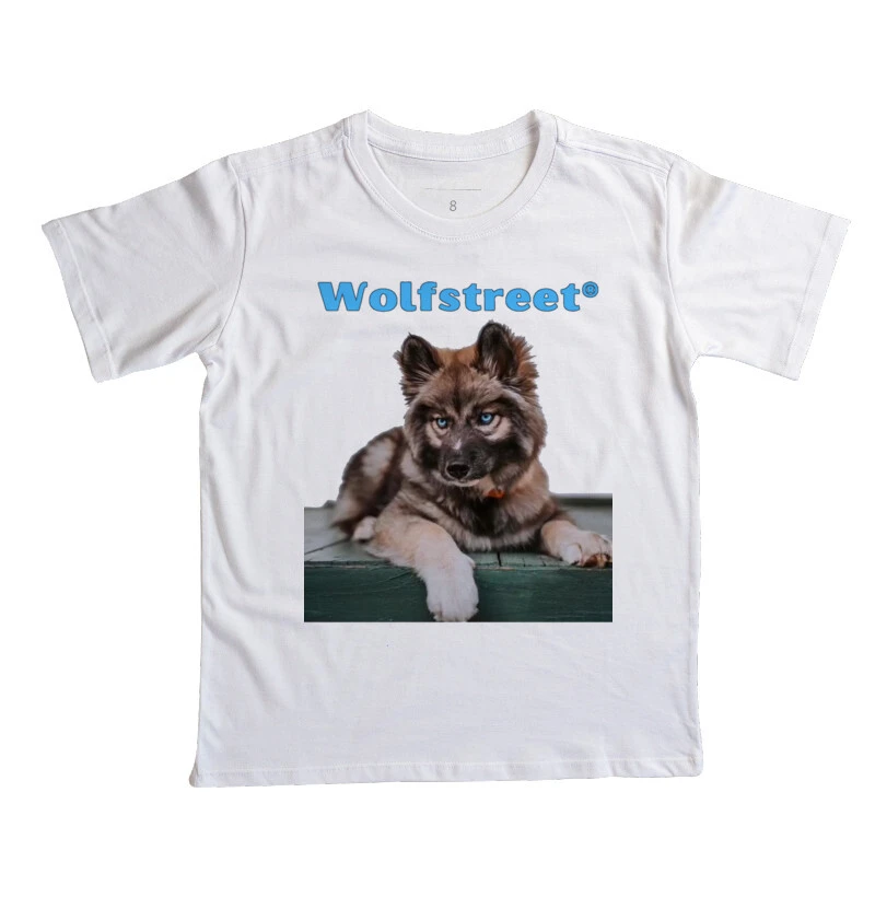 Camiseta infantil wolf15