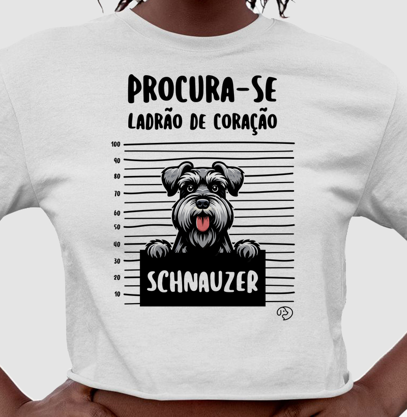 Schnauzer Ladrão de Coração