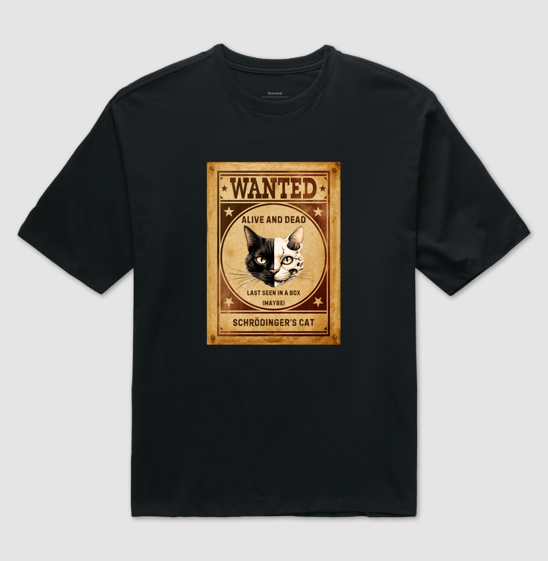 Gato de Schrödinger - Placa