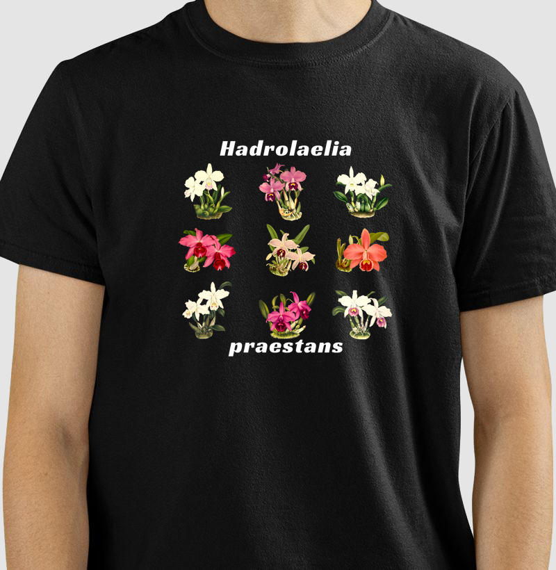 Camiseta Hadrolaelia (Laelia) praestans 