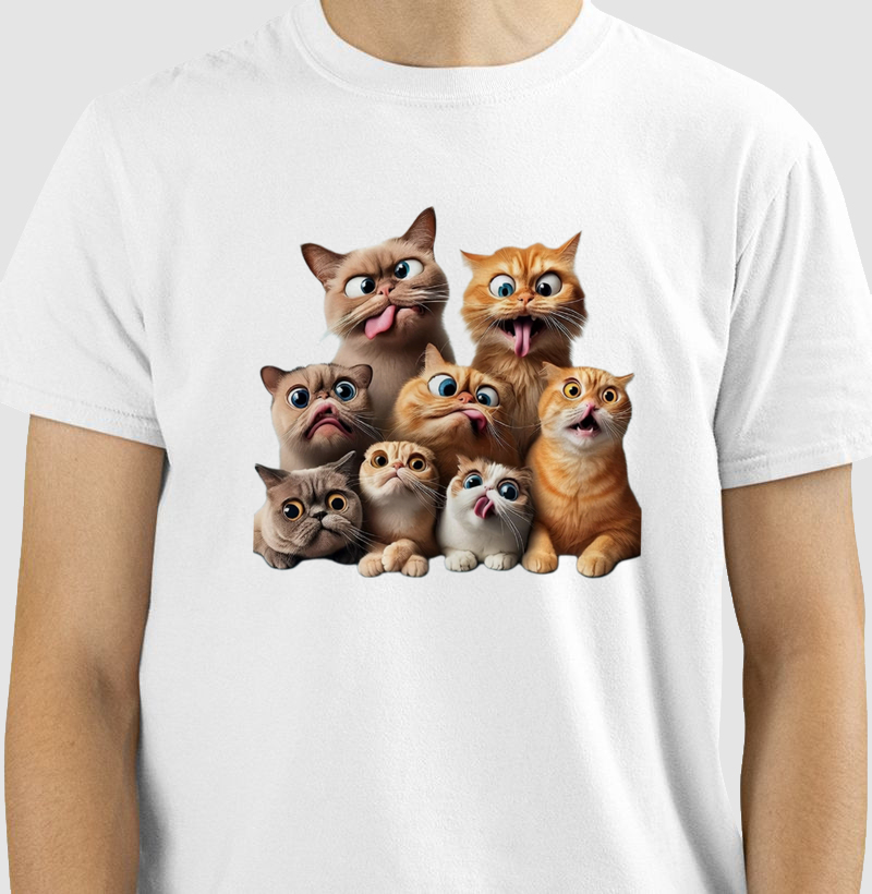 CRAZY CATS