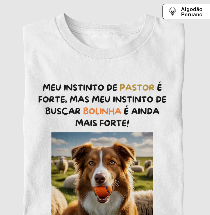Meu instinto de buscar bolinha é forte