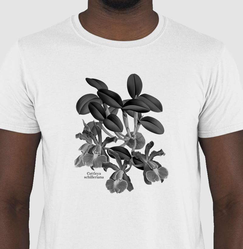 Camiseta Cattleya schilleriana P&B