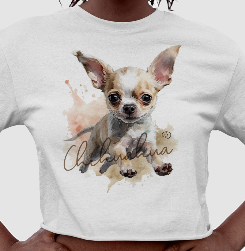 Chihuahua Splash