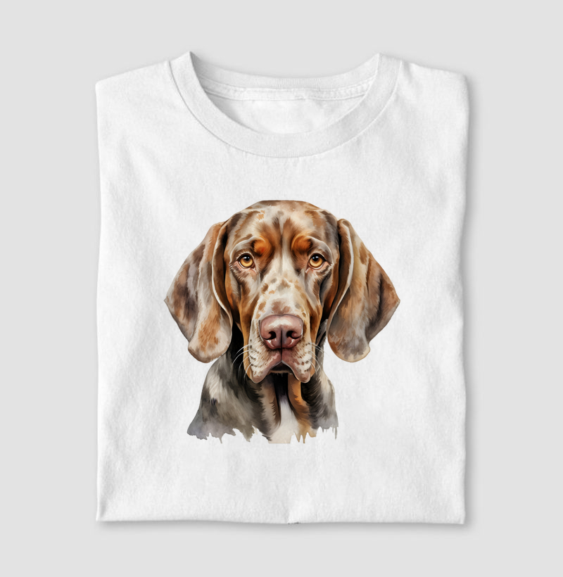 Bracco Italian aquarela