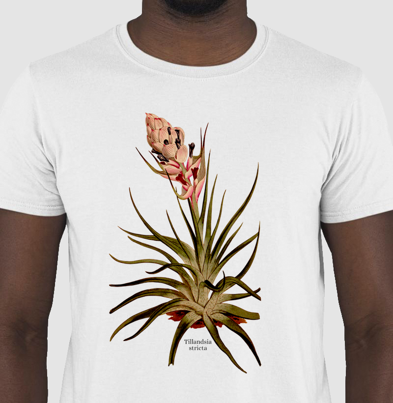 Camiseta Tshirt Tillandsia stricta