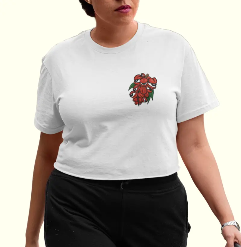 Guaraná bolso