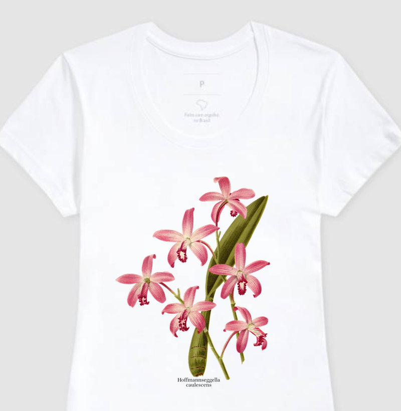 Camiseta Feminina Hoffmannseggella ( Laelia) caulescens