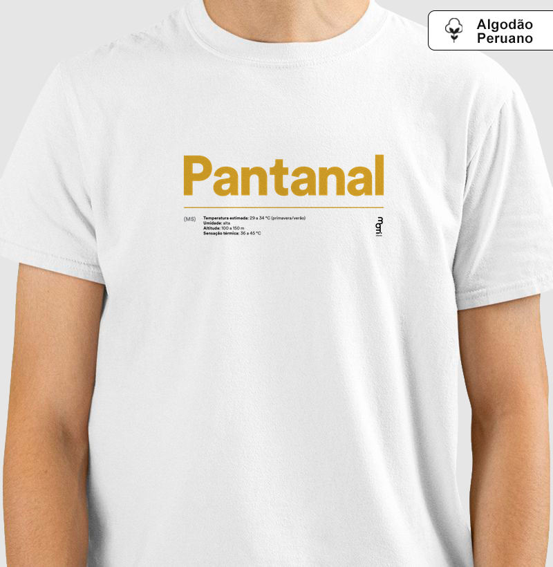 Regiões do Brasil - Pantanal