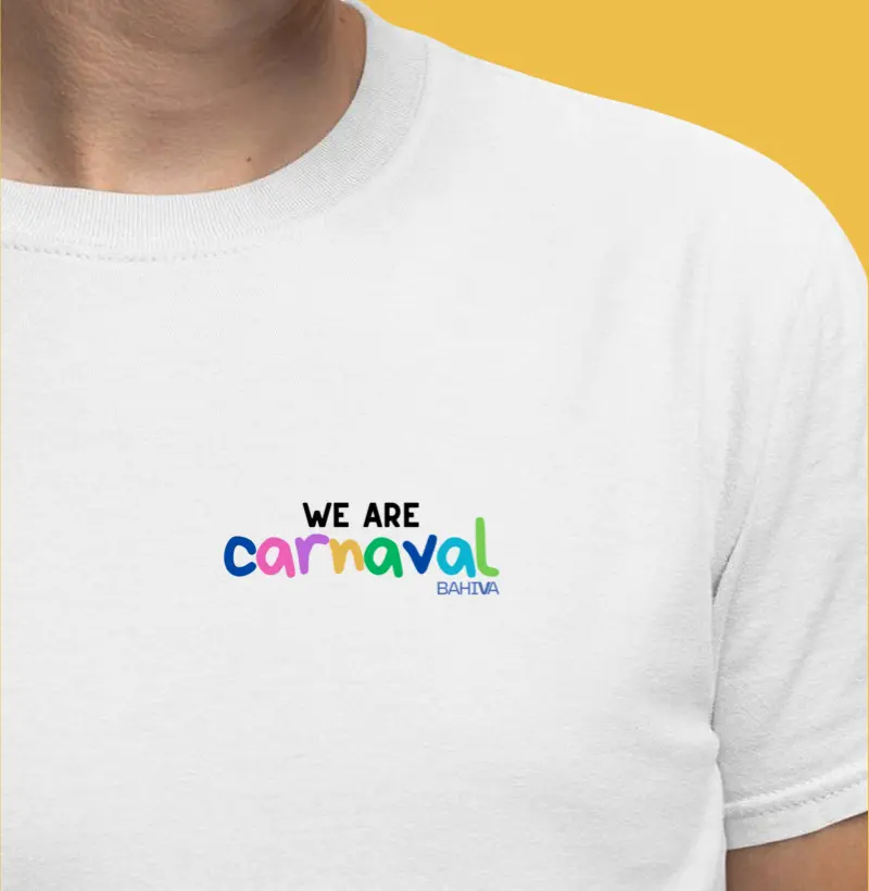 We are carnaval no miudinho