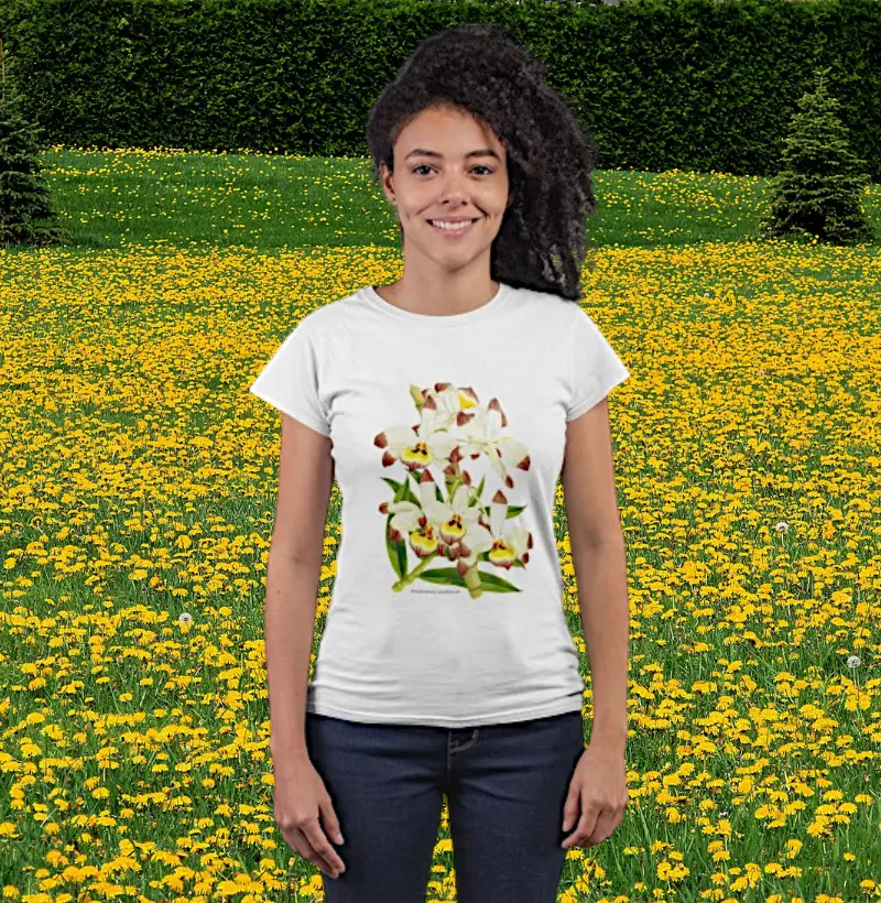 Camiseta Feminina Dendrobium wardianum