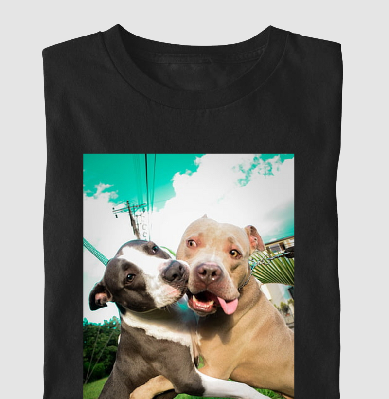 ABRAÇO DE PIT BULL