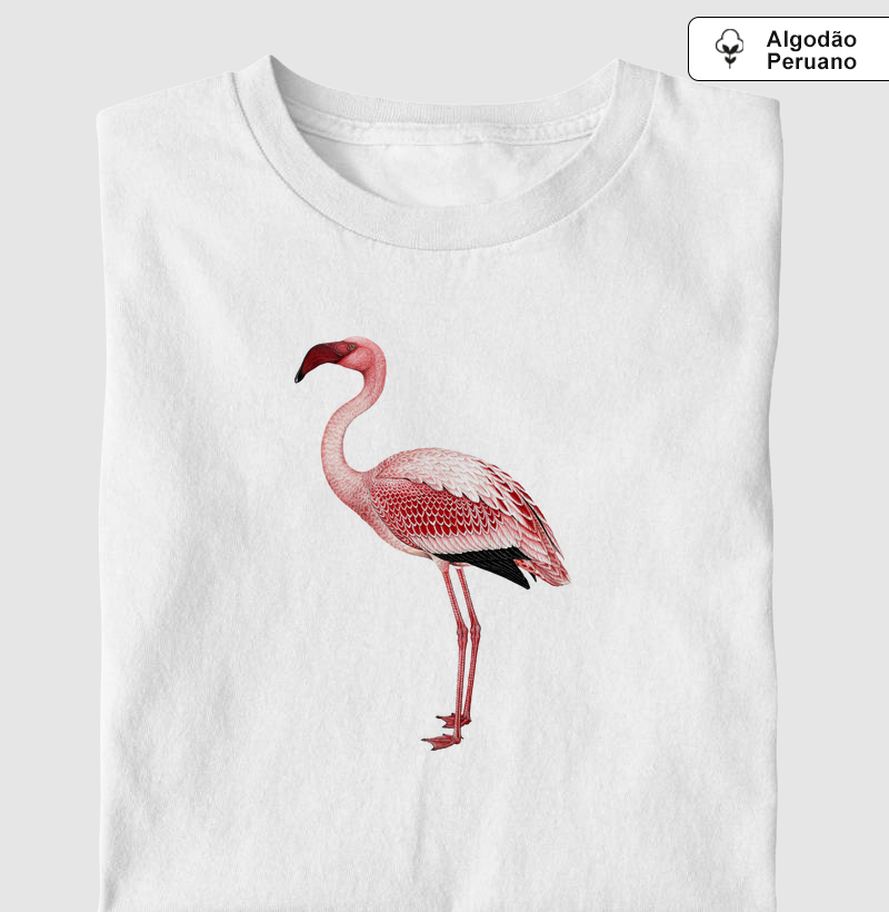 Lesser Flamingo