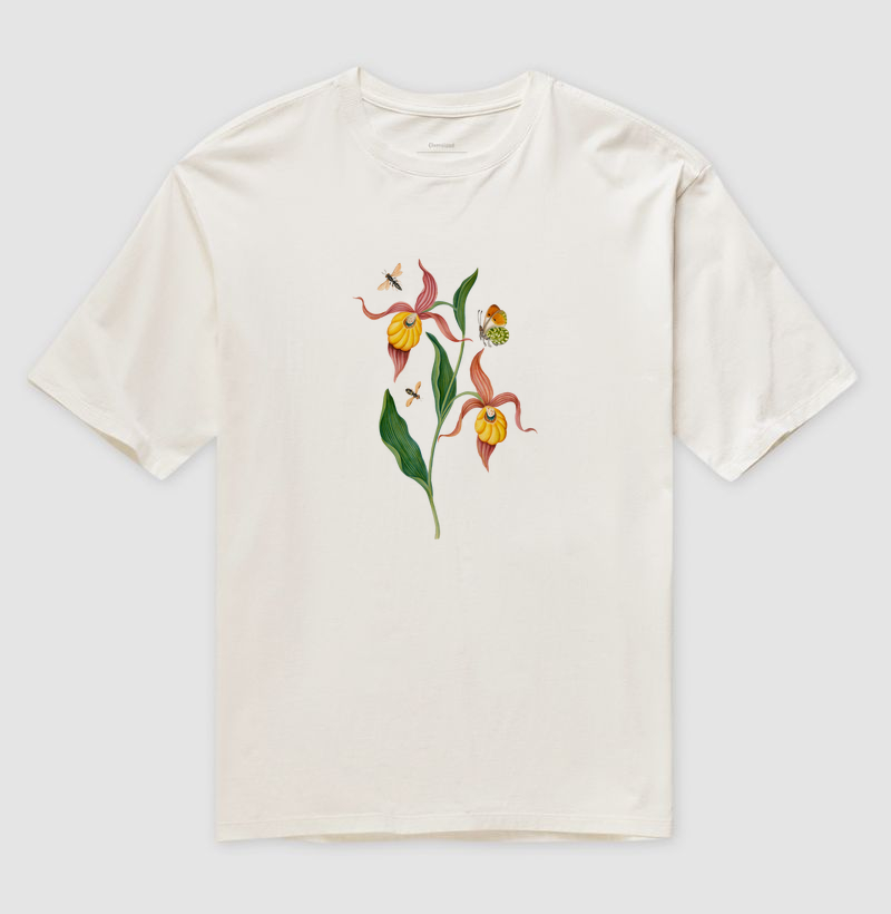 Lady's slipper orchid