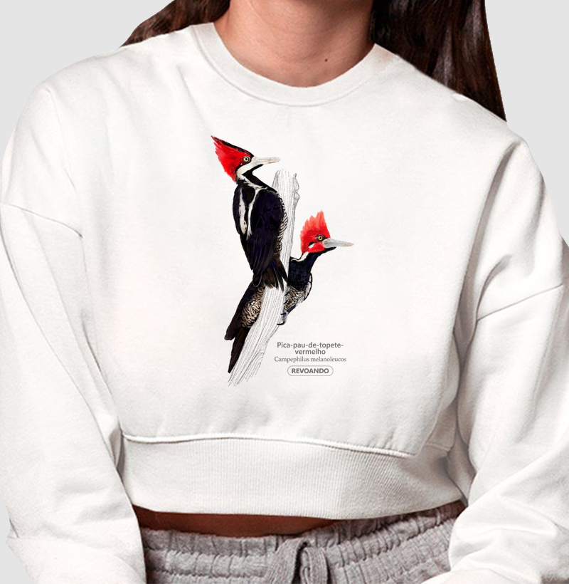 Aves do Brasil - Pica-pau-de-topete-vermelho - Moletom Cropped