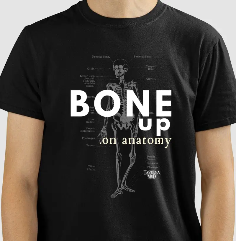 Bone up on Anatomy - Midnight