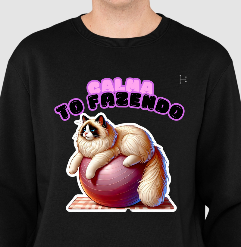 Gato - Ragdoll