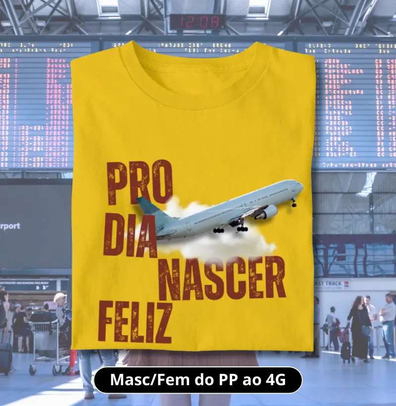 Pro dia nascer feliz (avião)