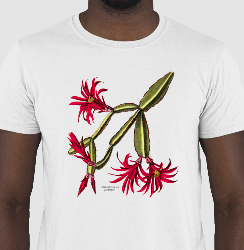 Camiseta Tshirt Rhipsalidopsis gaertneri