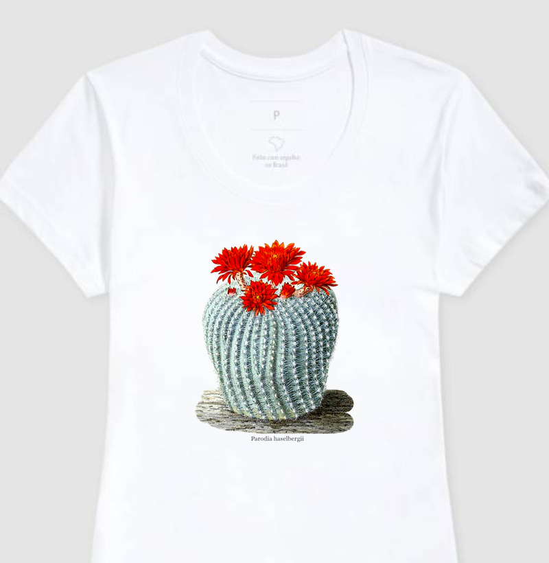 Camiseta Feminina Parodia haselbergii