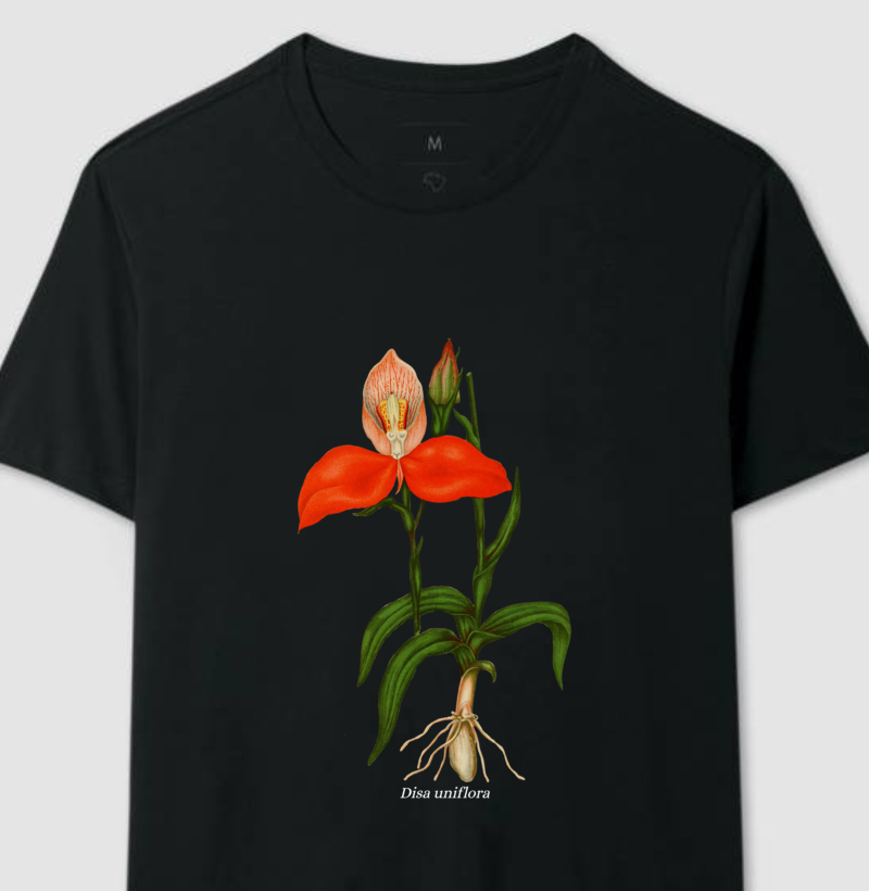 Camiseta Disa uniflora t-shirt