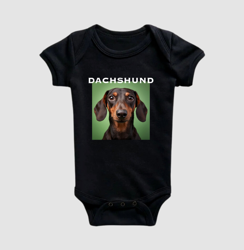 Dachshund