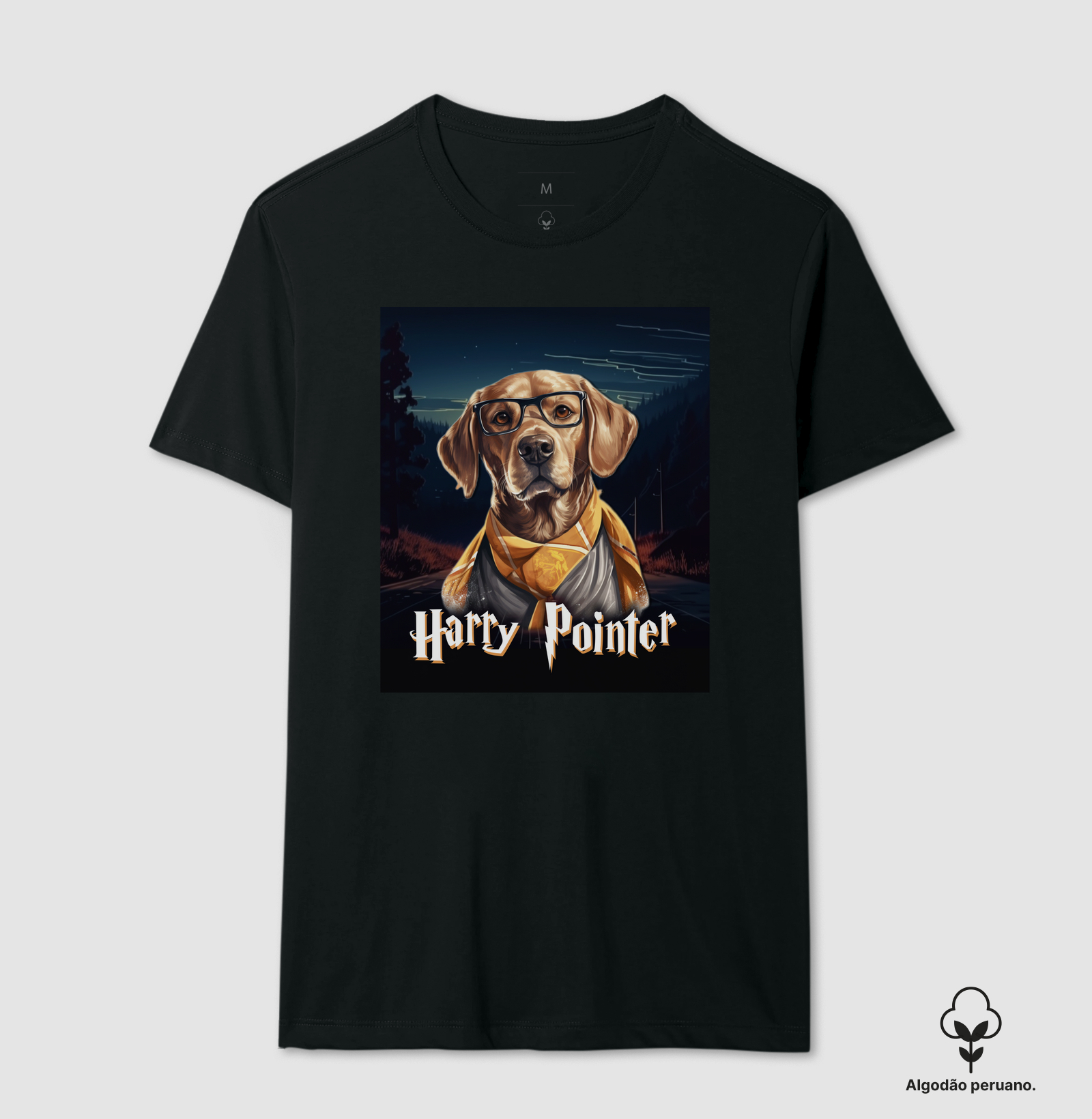 Harry Pointer