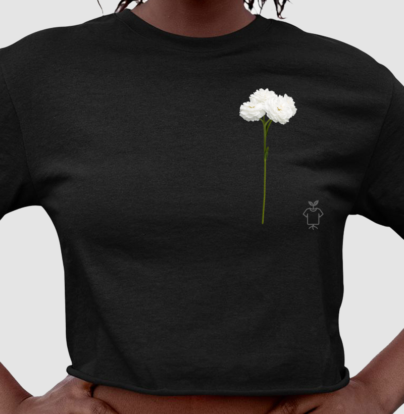 Coleção flores