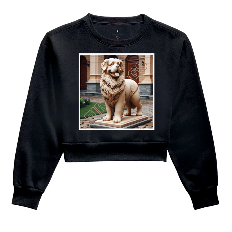 Bernese da Montanha