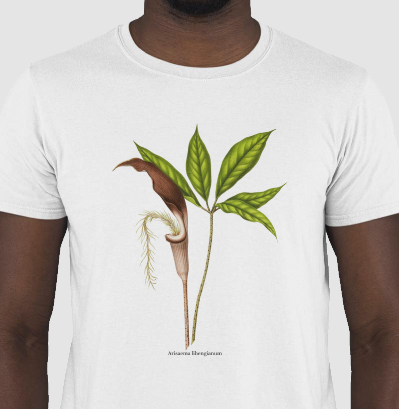 Camiseta (Tshirt) Arisaema lihengianum