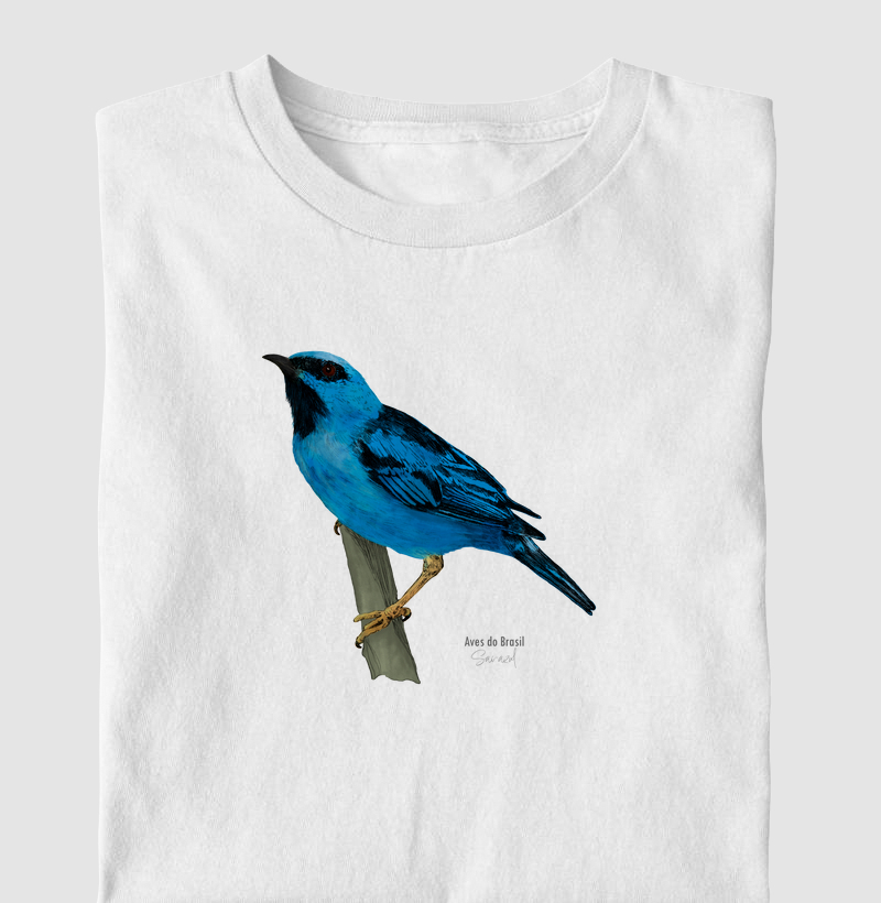 Aves do Brasil - Saí-azul - Infantil