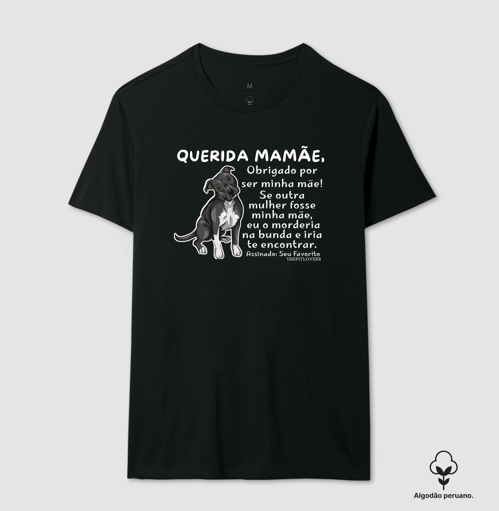 Querida mamãe, Obrigado por ser minha mãe! Se outra mulher fosse minha mãe,  eu o morderia na bunda e iria te encontrar.  Assinado: Seu Favorito