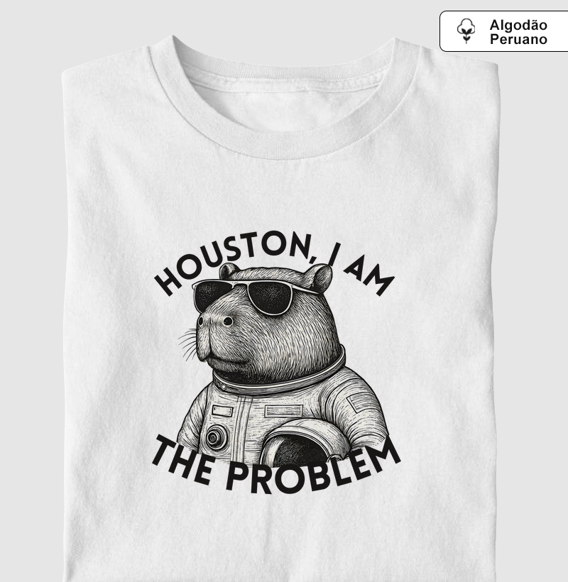 Houston, I’m the Problem