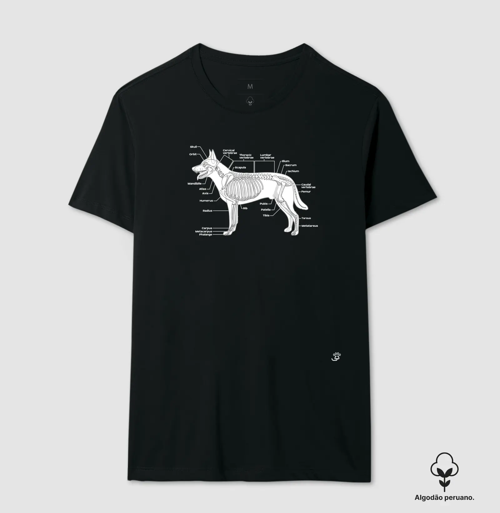 Dogs Bone