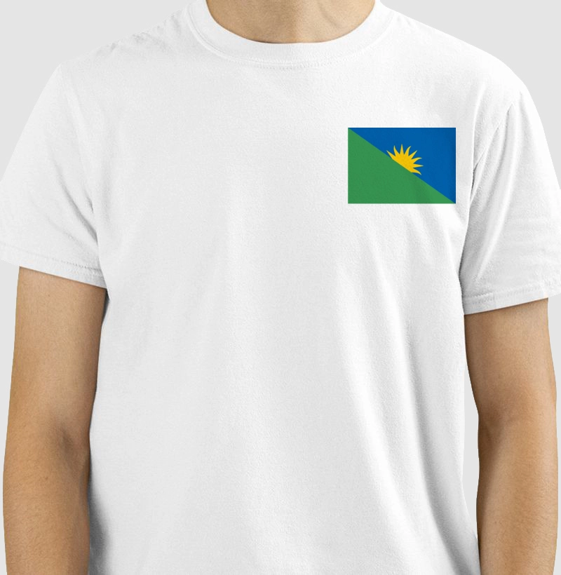 Nova Bandeira de Belo Horizonte